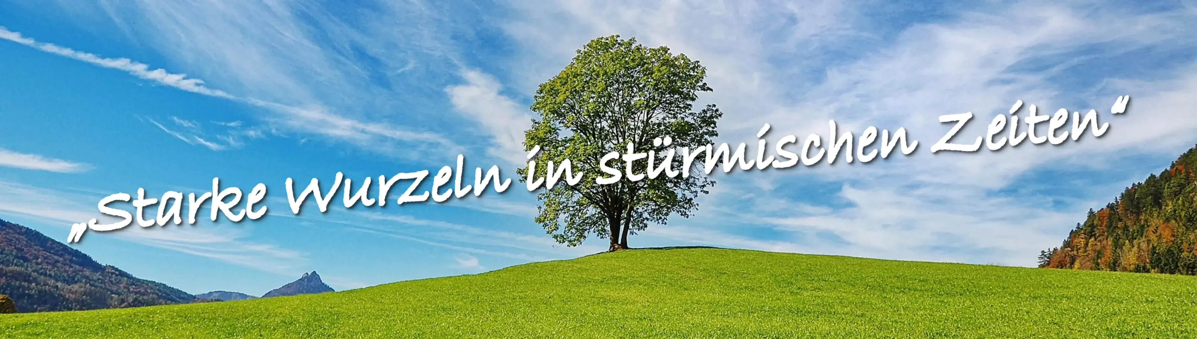 Einzelner Baum auf Grashügel bei schönem Wetter mit blauem Himmel, Slogan über das ganze Bild in weißer Schrift, Starke Wurzeln in stürmischen Zeiten